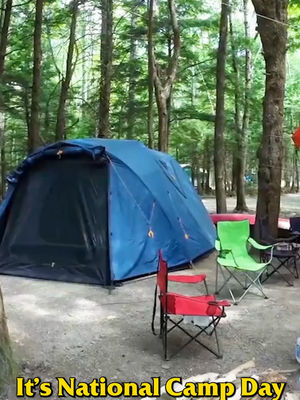 Video post by @bugbustersusa on TikTok