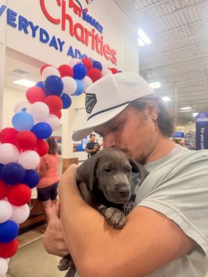 Image post by @petsmart on Instagram