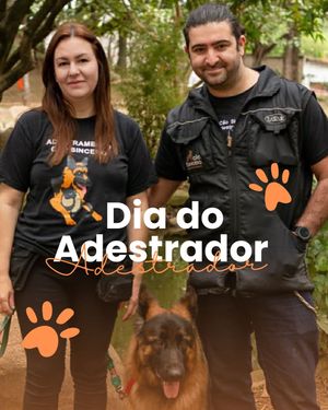 Image post by @adestradores.caosincero on Instagram