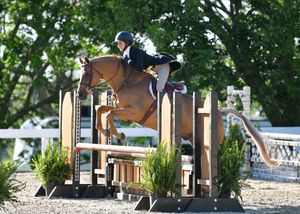 Image post by @kyhorseshows on Instagram