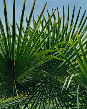 Image post by @diaryofmu on Instagram