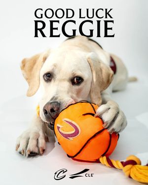 Image post by @cavscare_ on Instagram