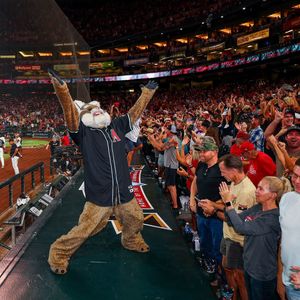 Image post by @dbacksbaxter on Instagram