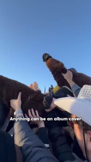 Video post by @chipthebuffalo on Facebook