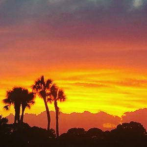 Image post by @bostonrobmariano on Instagram