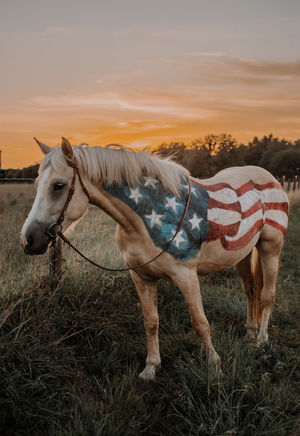 Image post by @cowgirlmagazine on Instagram