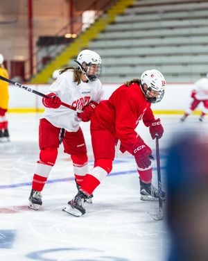Image post by @cornellwhockey on Instagram