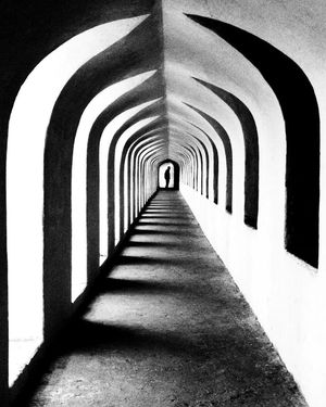 Image post by @fubiz on Instagram