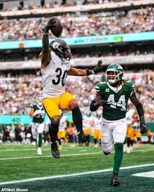 Image post by @steelers on Instagram
