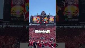 Video post by @cfbonfox on YouTube