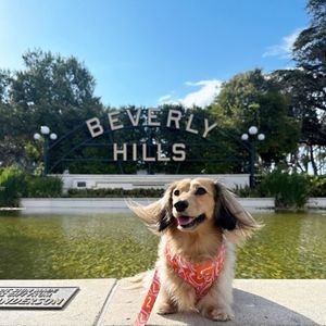 Image post by @beverlyhilton on Instagram