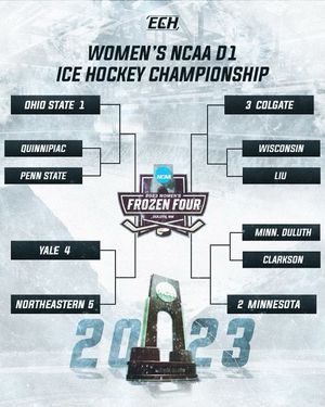 Image post by @everythingcollegehockey on Instagram