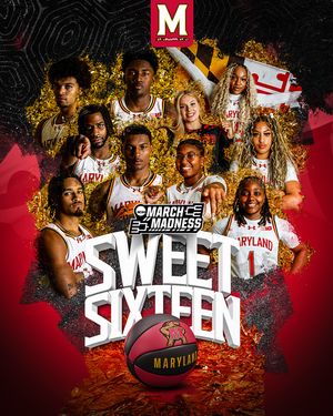 Image post by @marylandterrapins on Instagram