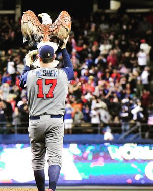 Image post by @mlbonfox on Instagram