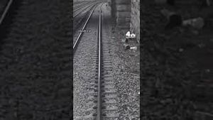 Video post by @nbcnewyork on YouTube