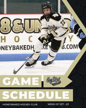 Image post by @honeybakedhc on Instagram