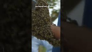 Video post by @whatifscienceshow on YouTube
