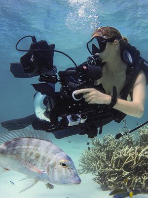 Image post by @reddigitalcinema on Instagram