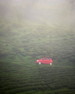 Image post by @dhritimanlahiri on Instagram