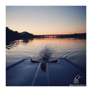 Image post by @ptomelitsch on Instagram