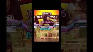 Video post by @backyardbreaks on YouTube