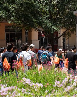 Image post by @utsa on Instagram