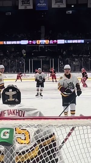 Video post by @chiwolves on TikTok