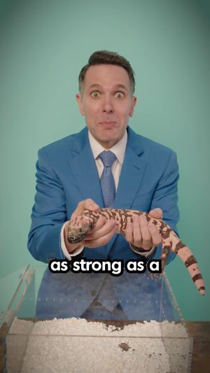 Video post by @lawbymike on TikTok
