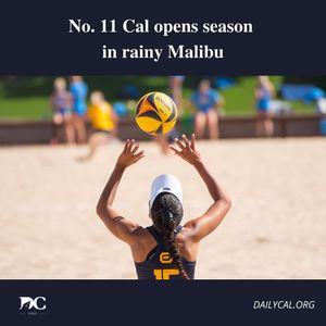 Image post by @dailycalsports on Instagram