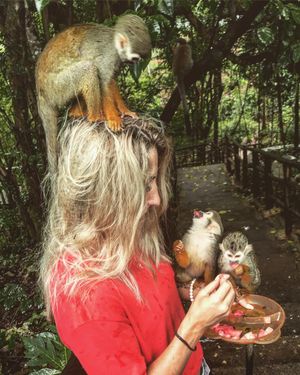 Image post by @kimklavel on Instagram