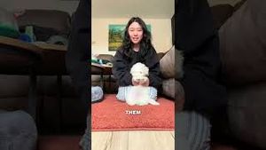 Video post by @pcfgstudy on YouTube
