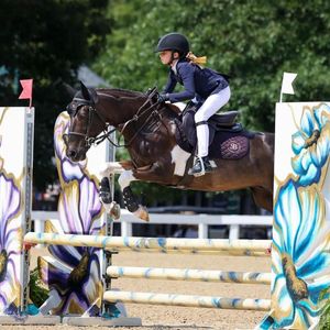 Image post by @usequestrian on Instagram