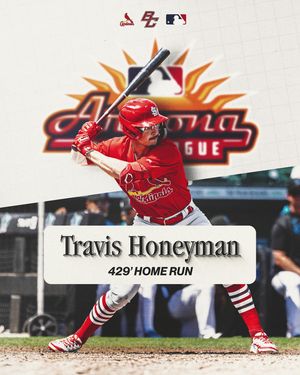 Image post by @bcbirdball on Instagram