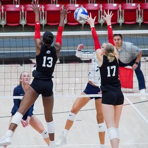 Image post by @suuvolleyball on Instagram