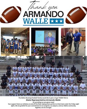 Image post by @aldinemustangfb on Instagram