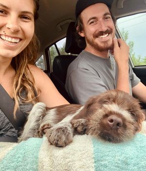 Image post by @halesgoodreau on Instagram