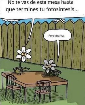 Image post by @redlatina on Facebook