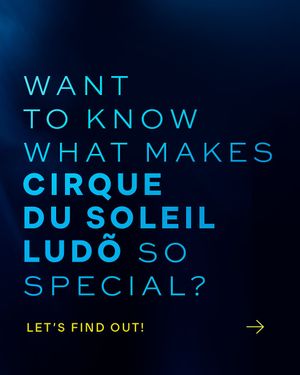 Image post by @ludo.cirquedusoleil on Instagram