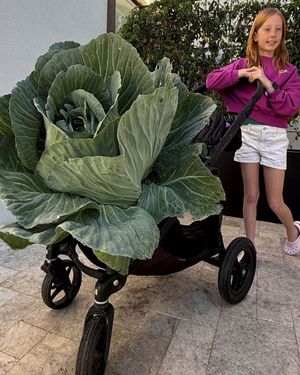 Image post by @bonnieplants on Instagram