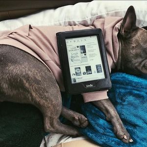Image post by @amazon on Instagram