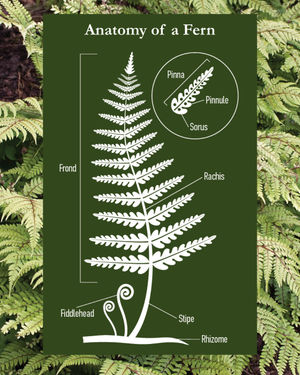 Image post by @ahs_gardening on Instagram