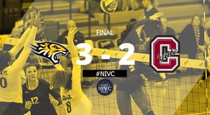 Image post by @towsontigersvb on Instagram