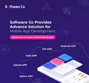 Image post by @softwareco on Instagram
