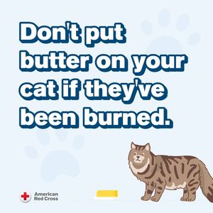 Image post by @americanredcross on Instagram