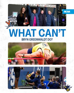 Image post by @ncaa on Instagram