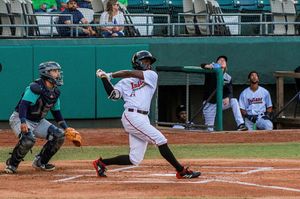 Image post by @gowoodducks on Instagram