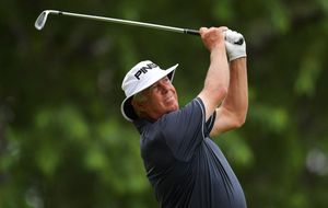 Image post by @pingtour on Instagram