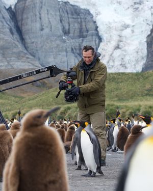 Image post by @reddigitalcinema on Instagram