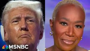 Video post by @msnbc on YouTube