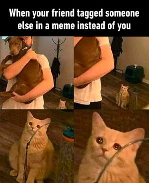 Image post by @9gag on Instagram